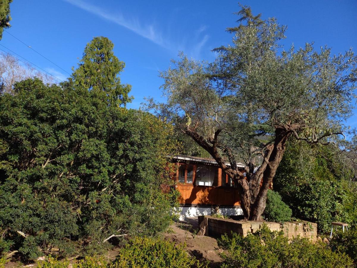 Parco Delle Streghe Villa Скарлино Екстериор снимка
