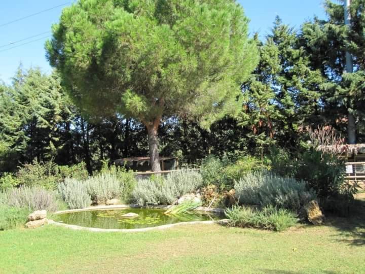 Parco Delle Streghe Villa Скарлино Екстериор снимка